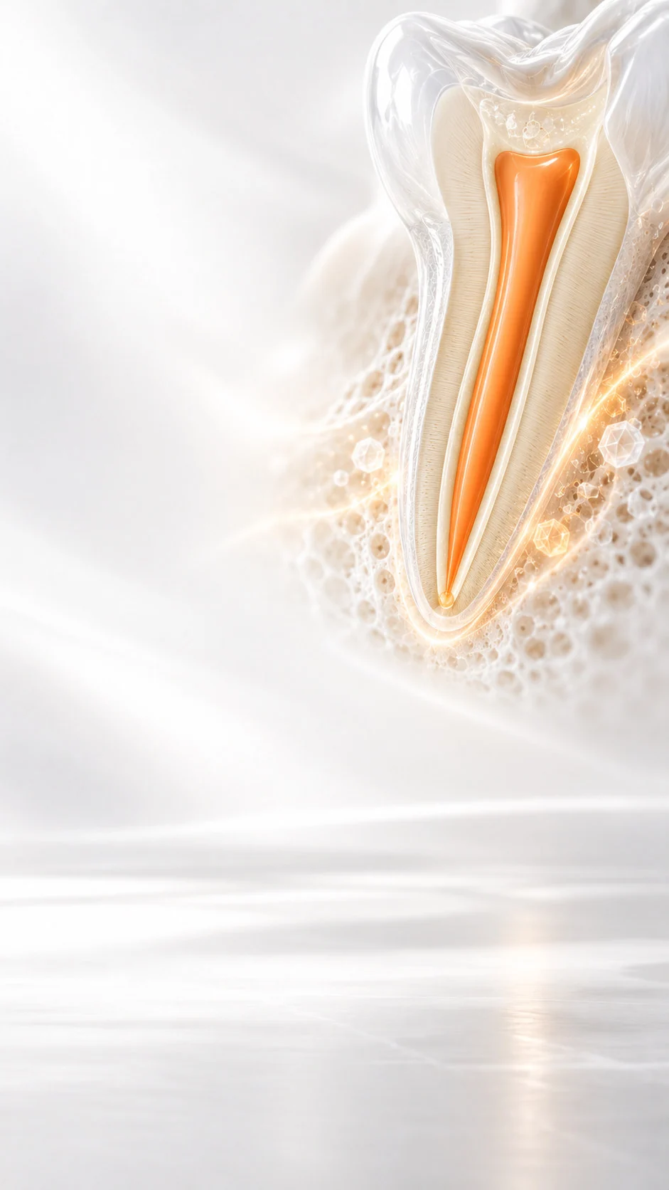Conceptual illustration for Bioceramic Sealer - Powder/Liquid